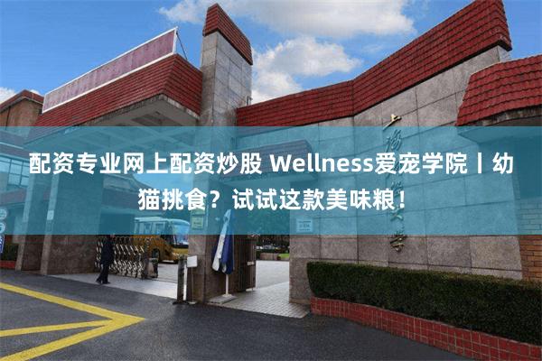 配资专业网上配资炒股 Wellness爱宠学院丨幼猫挑食？试试这款美味粮！