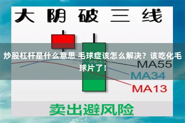 炒股杠杆是什么意思 毛球症该怎么解决？该吃化毛球片了！