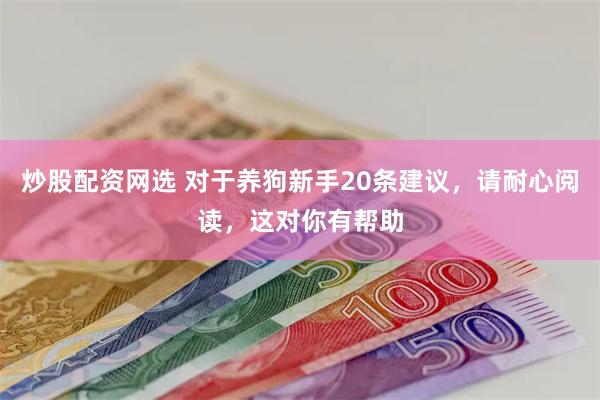 炒股配资网选 对于养狗新手20条建议，请耐心阅读，这对你有帮助