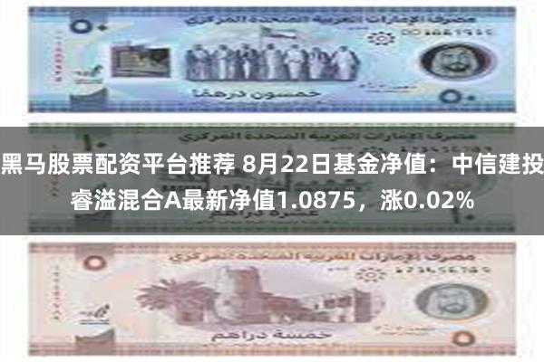 黑马股票配资平台推荐 8月22日基金净值：中信建投睿溢混合A最新净值1.0875，涨0.02%