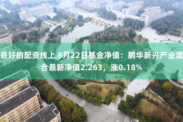 最好的配资线上 8月22日基金净值：鹏华新兴产业混合最新净值2.263，涨0.18%