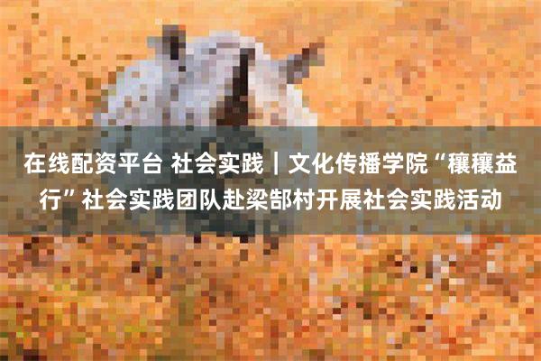 在线配资平台 社会实践｜文化传播学院“穰穰益行”社会实践团队赴梁郜村开展社会实践活动