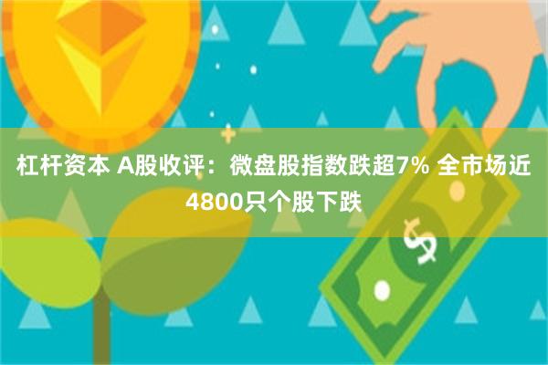 杠杆资本 A股收评：微盘股指数跌超7% 全市场近4800只个股下跌