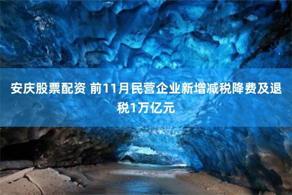 安庆股票配资 前11月民营企业新增减税降费及退税1万亿元