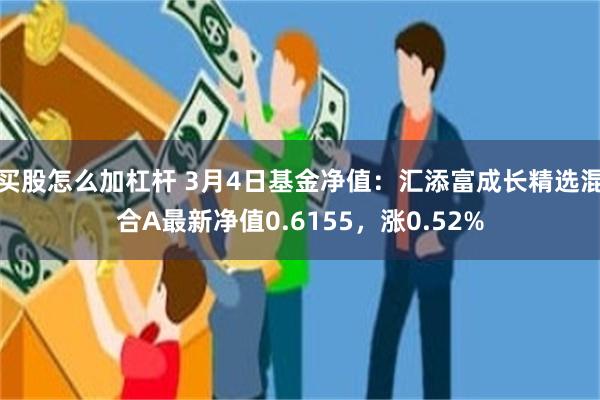 买股怎么加杠杆 3月4日基金净值：汇添富成长精选混合A最新净值0.6155，涨0.52%