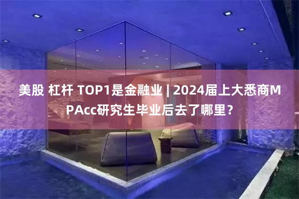 美股 杠杆 TOP1是金融业 | 2024届上大悉商MPAcc研究生毕业后去了哪里？